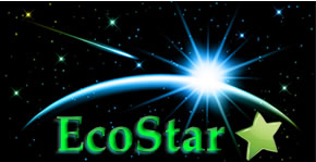 EcoStar Printer Chips